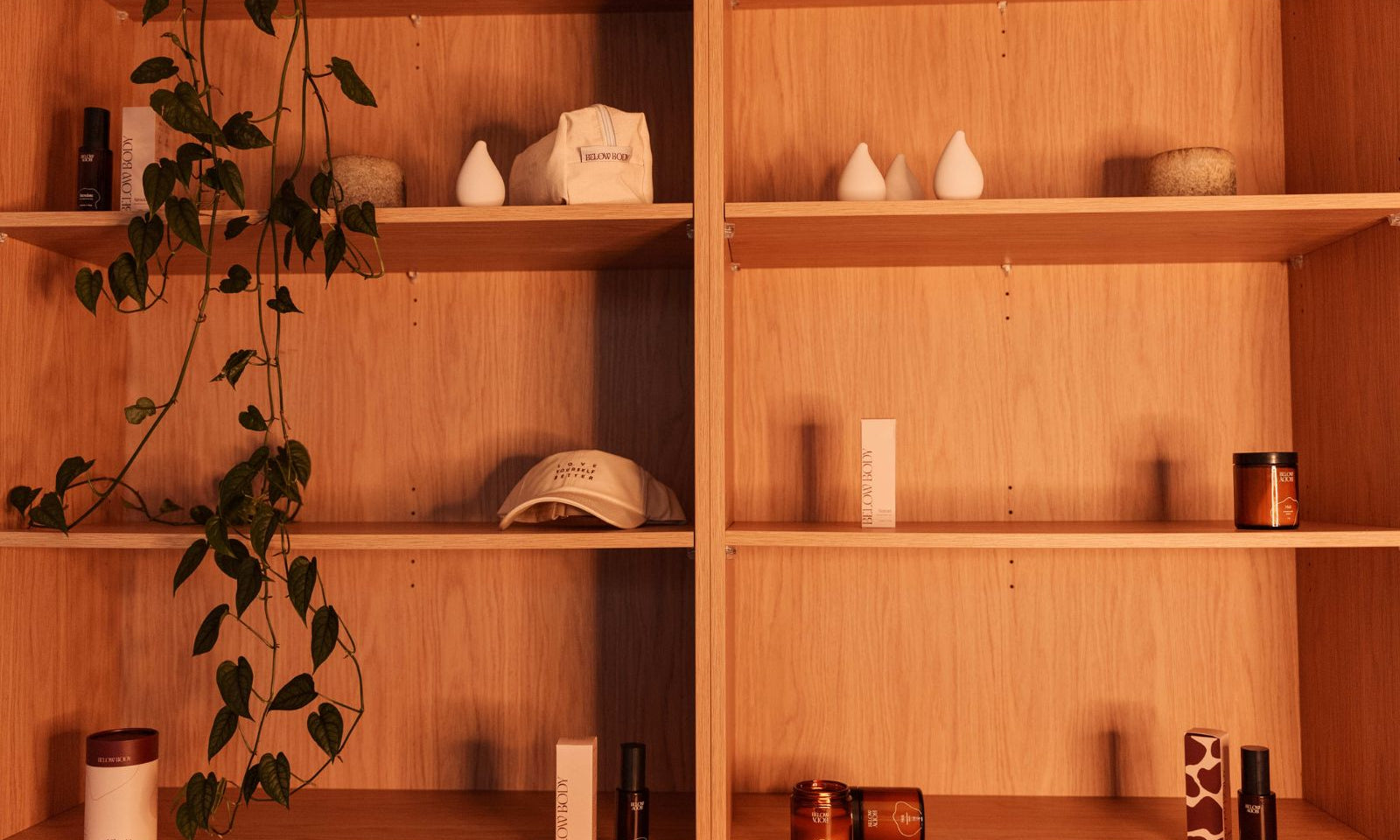 What Is Actually in Your Intimate Products? A Plain Ingredient Guide